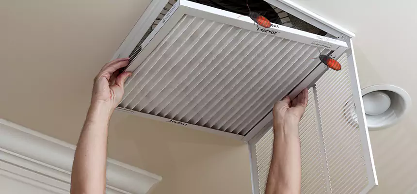 Preventive Cockroach-Proofing for Ducts in Casa Grande