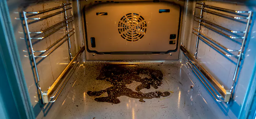 Our Dryer Vent Mold Cleaning Services in Casa Grande, AZ