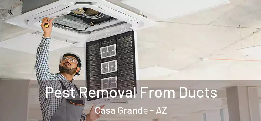  Pest Removal From Ducts Casa Grande - AZ