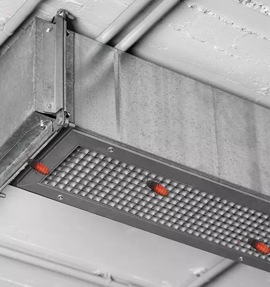 Affordable Insect Removal from Air Ducts in Casa Grande, AZ