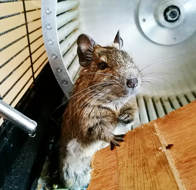 Why Homeowners & Businesses Trust Us Casa Grande, AZ?