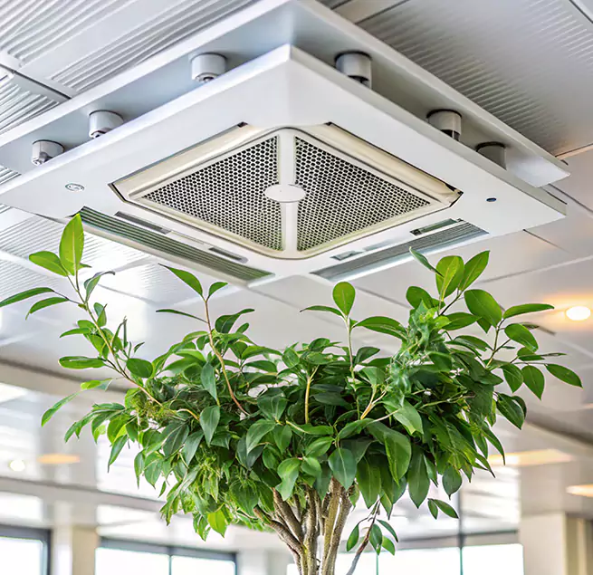 Why Homeowners & Businesses Trust Us in Casa Grande, AZ