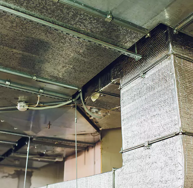 Why Homeowners & Businesses Trust Us in Casa Grande, AZ?